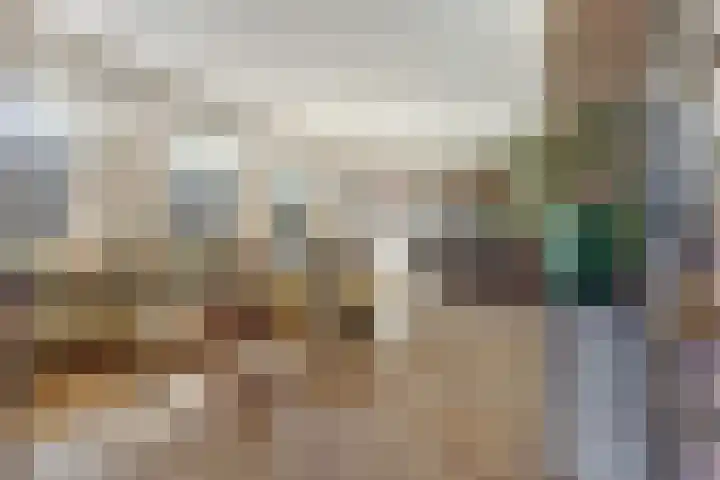 Hazenstraat 4 Eersel thumbnail 12