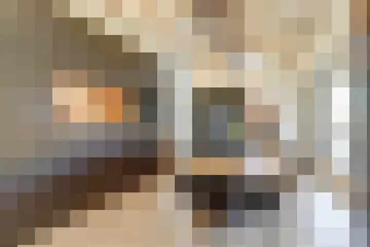 Hazenstraat 4 Eersel thumbnail 20