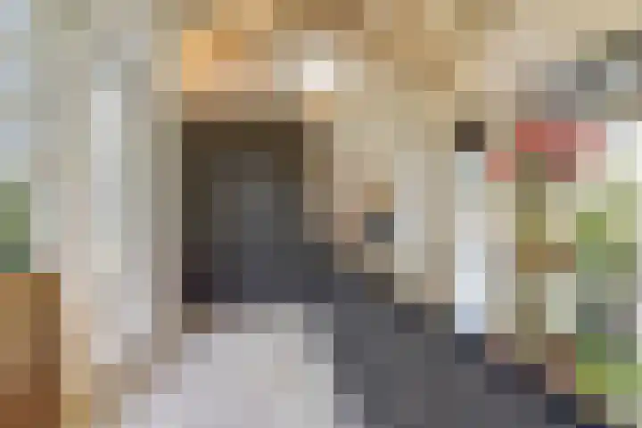 Hazenstraat 4 Eersel thumbnail 21