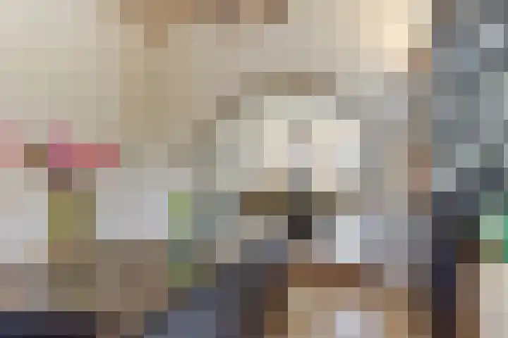 Hazenstraat 4 Eersel thumbnail 26