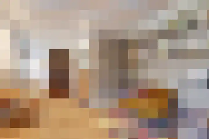 Hazenstraat 4 Eersel thumbnail 30