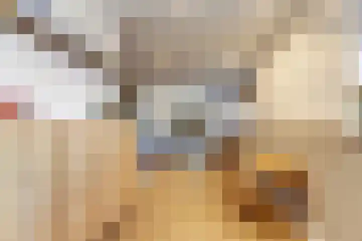 Hazenstraat 4 Eersel thumbnail 31