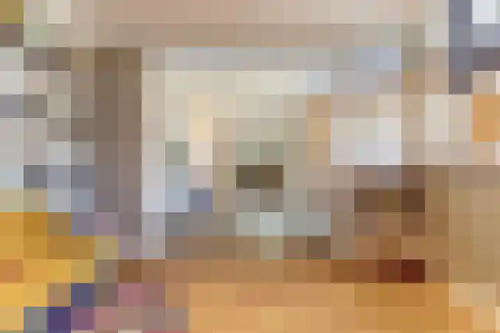Hazenstraat 4 Eersel thumbnail 32