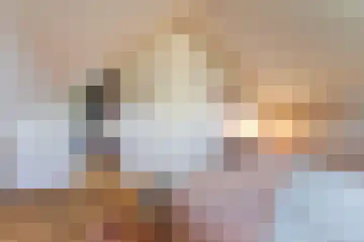 Hazenstraat 4 Eersel thumbnail 37