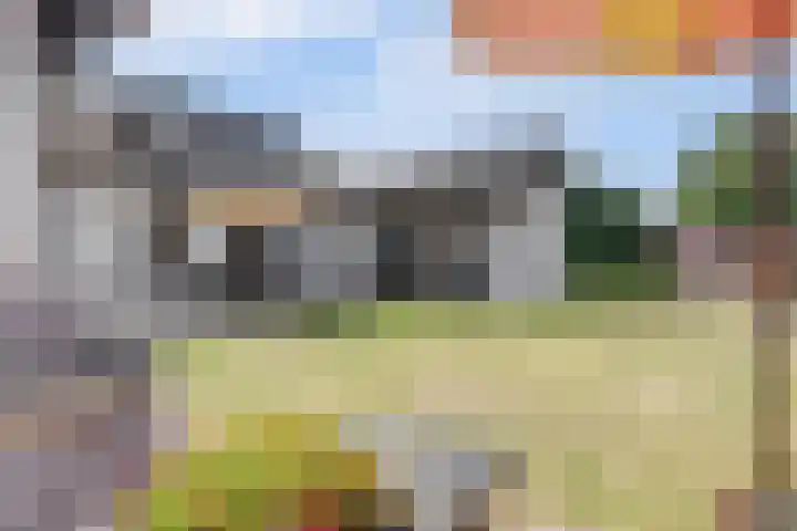 Hazenstraat 4 Eersel thumbnail 4