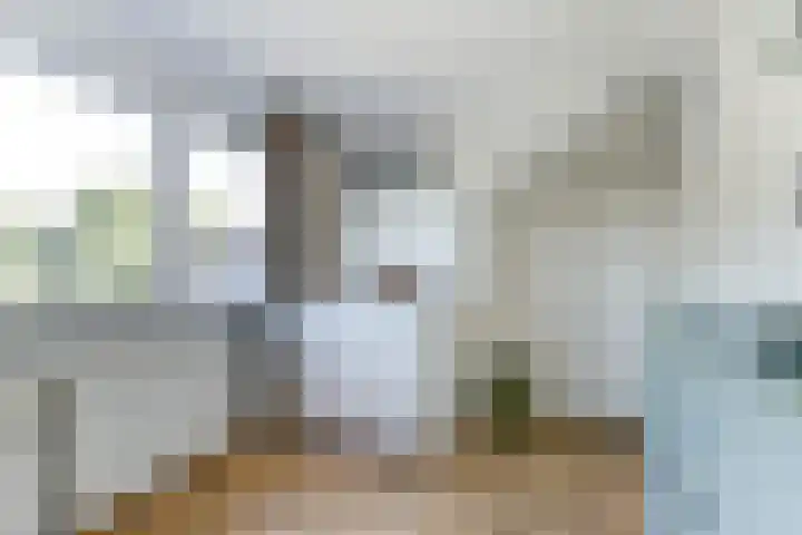 Hazenstraat 4 Eersel thumbnail 47