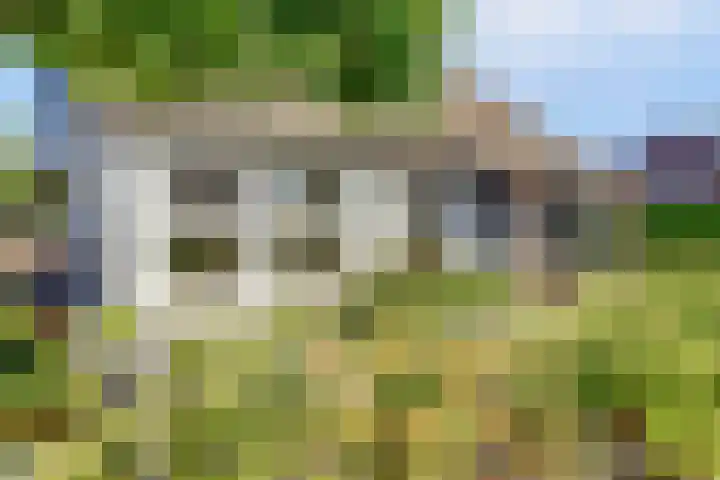 Hazenstraat 4 Eersel thumbnail 5
