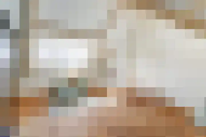 Hazenstraat 4 Eersel thumbnail 50