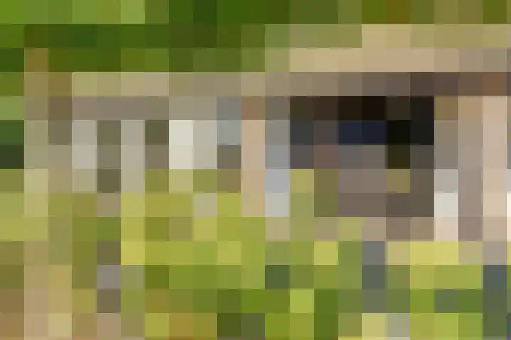 Hazenstraat 4 Eersel thumbnail 6
