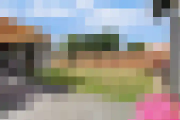 Hazenstraat 4 Eersel thumbnail 60