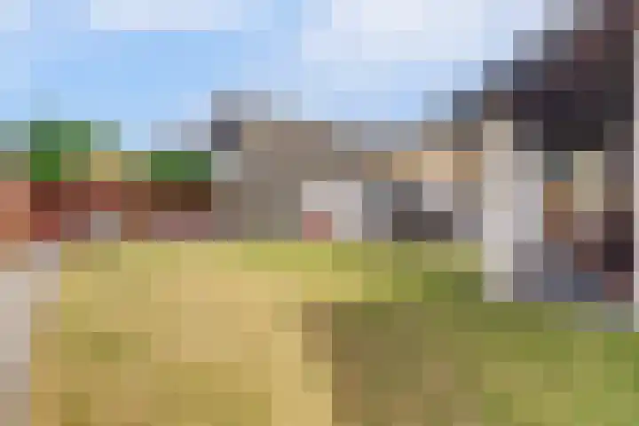 Hazenstraat 4 Eersel thumbnail 61