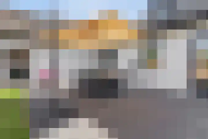 Hazenstraat 4 Eersel thumbnail 62