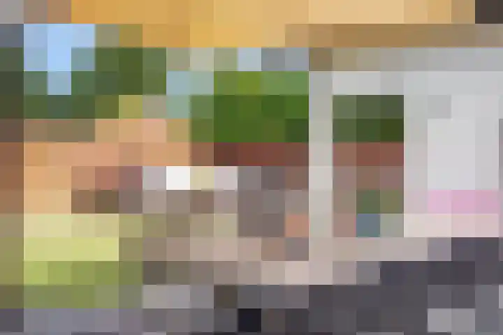 Hazenstraat 4 Eersel thumbnail 63