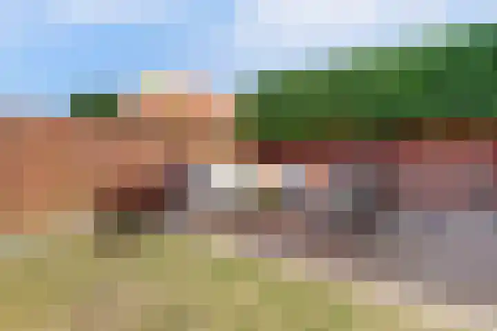 Hazenstraat 4 Eersel thumbnail 64