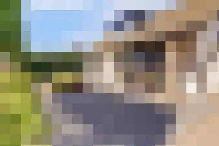 Hazenstraat 4 Eersel thumbnail 7