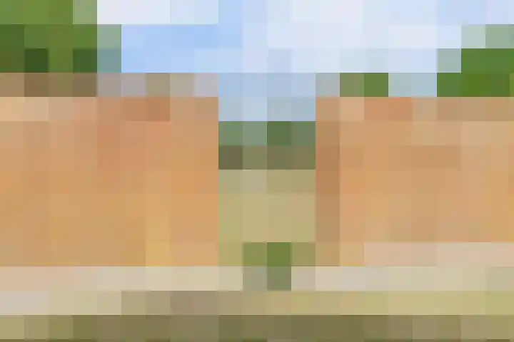 Hazenstraat 4 Eersel thumbnail 72