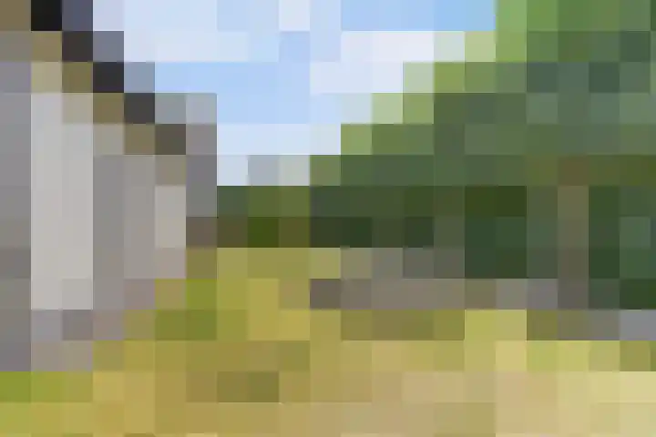 Hazenstraat 4 Eersel thumbnail 73
