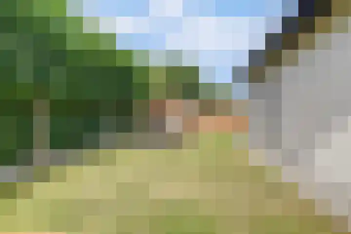 Hazenstraat 4 Eersel thumbnail 74
