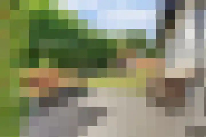 Hazenstraat 4 Eersel thumbnail 75