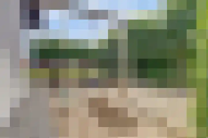 Hazenstraat 4 Eersel thumbnail 76