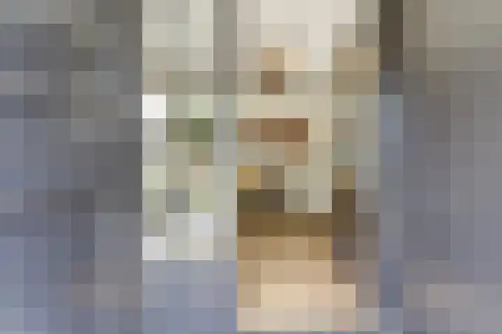 Hazenstraat 4 Eersel thumbnail 8