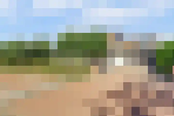 Hazenstraat 4 Eersel thumbnail 82