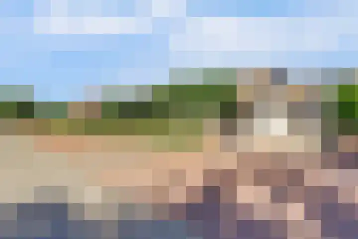Hazenstraat 4 Eersel thumbnail 84