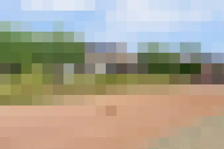 Hazenstraat 4 Eersel thumbnail 85