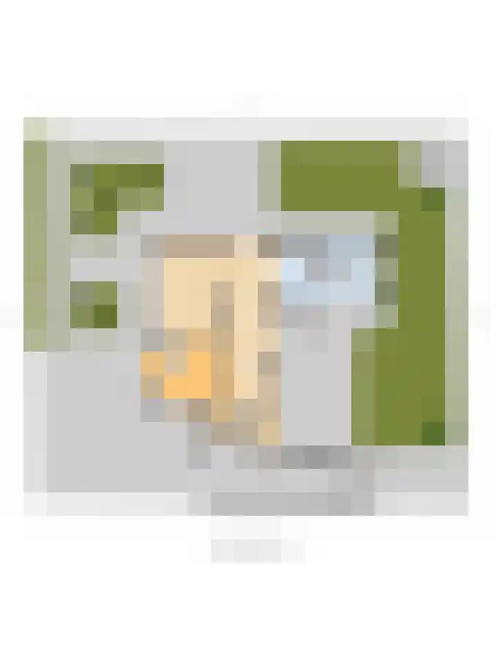 Hazenstraat 4 Eersel thumbnail 89