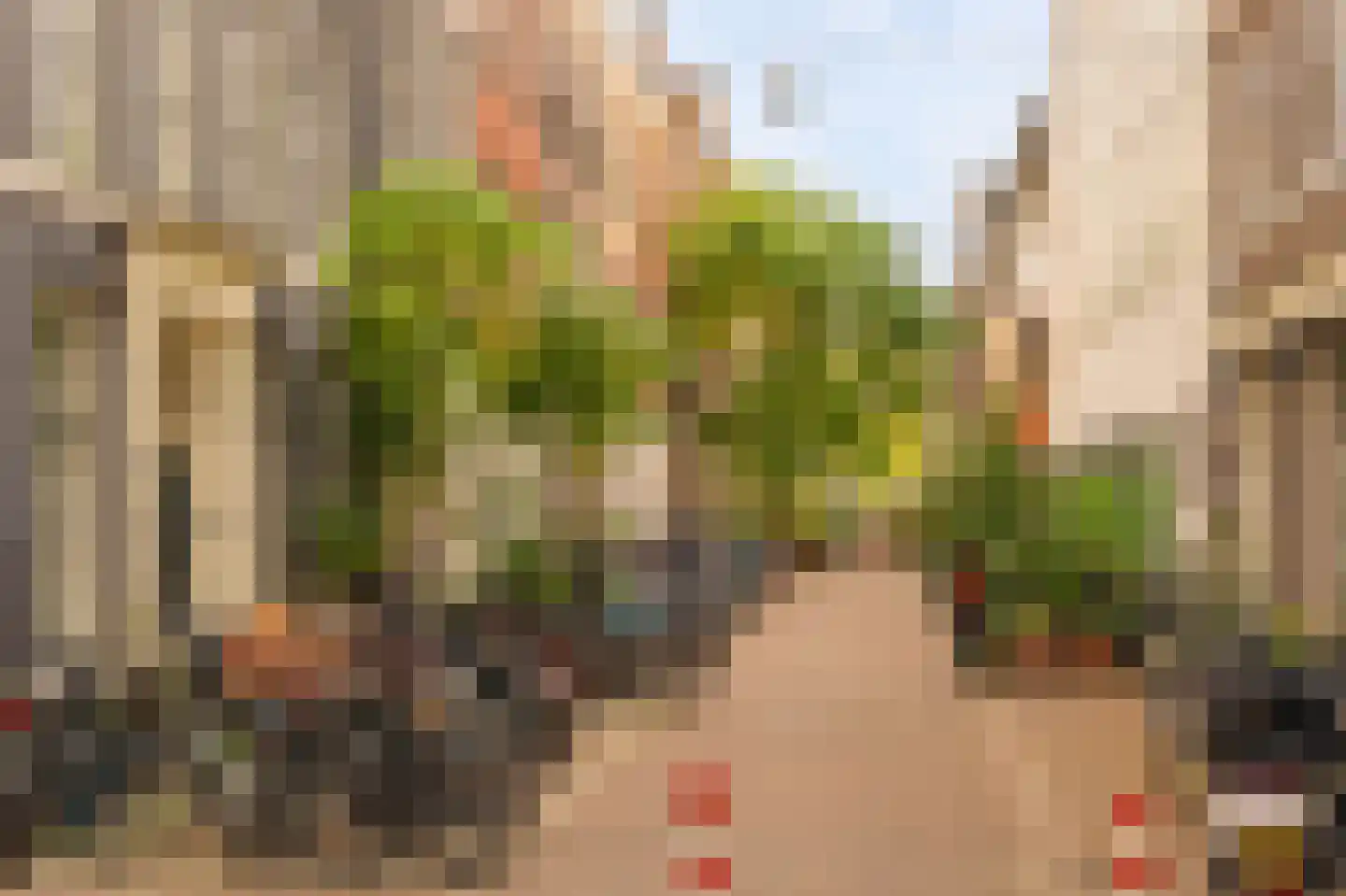 Hazenstraat 56 A Amsterdam thumbnail 26