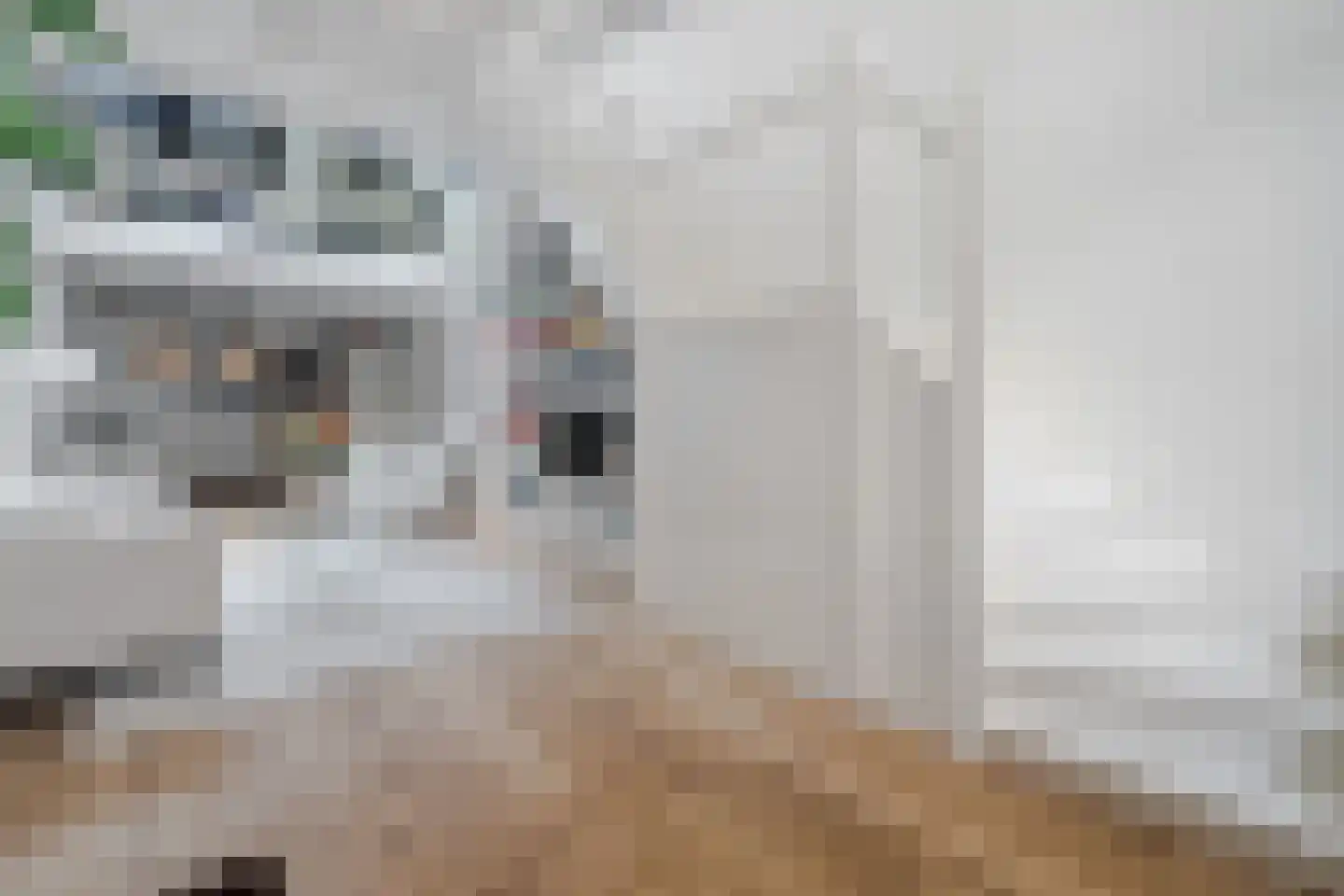 Hazenstraat 68 Amsterdam thumbnail 10