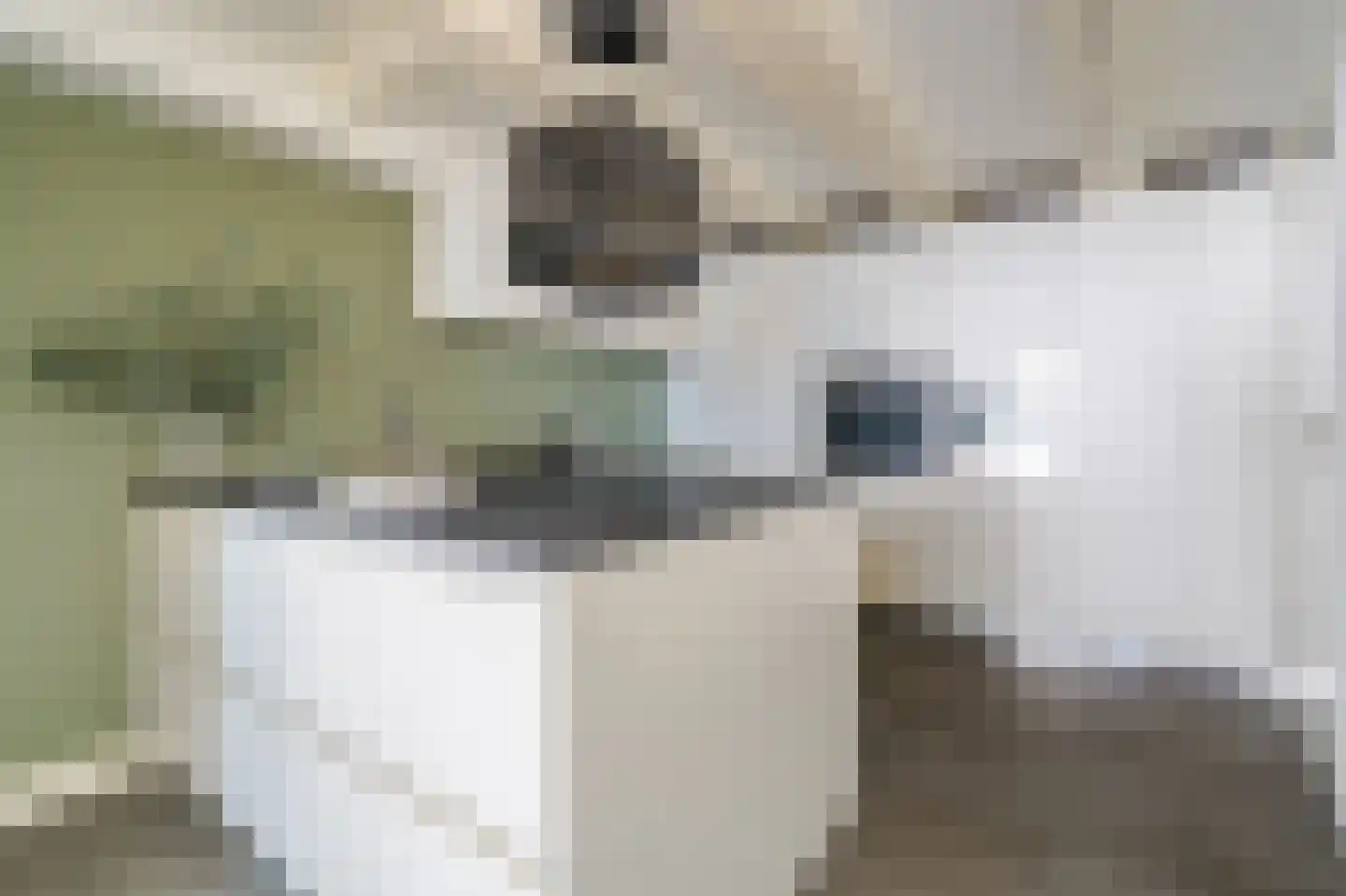 Hazenstraat 68 Amsterdam thumbnail 21