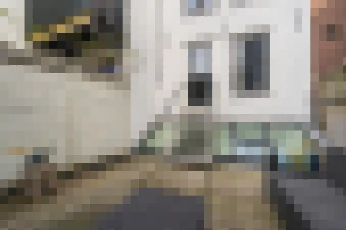Hazenstraat 68 Amsterdam thumbnail 31