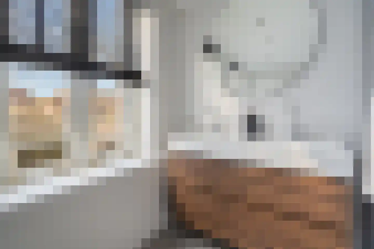 Hazenstraat 68 Amsterdam thumbnail 46