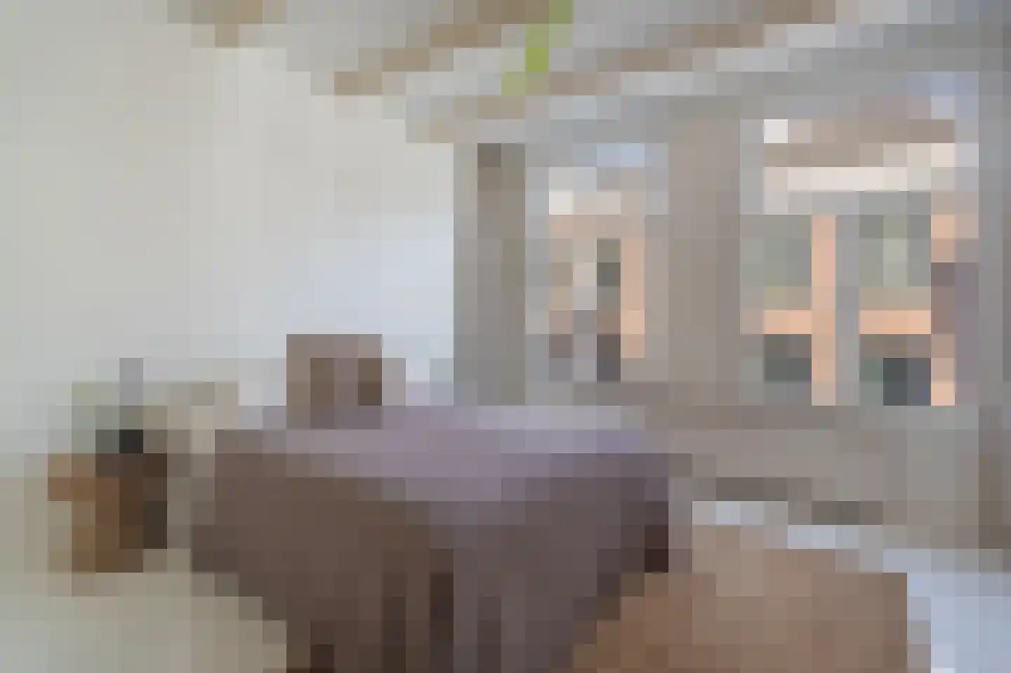 Hazenstraat 68 Amsterdam thumbnail 49