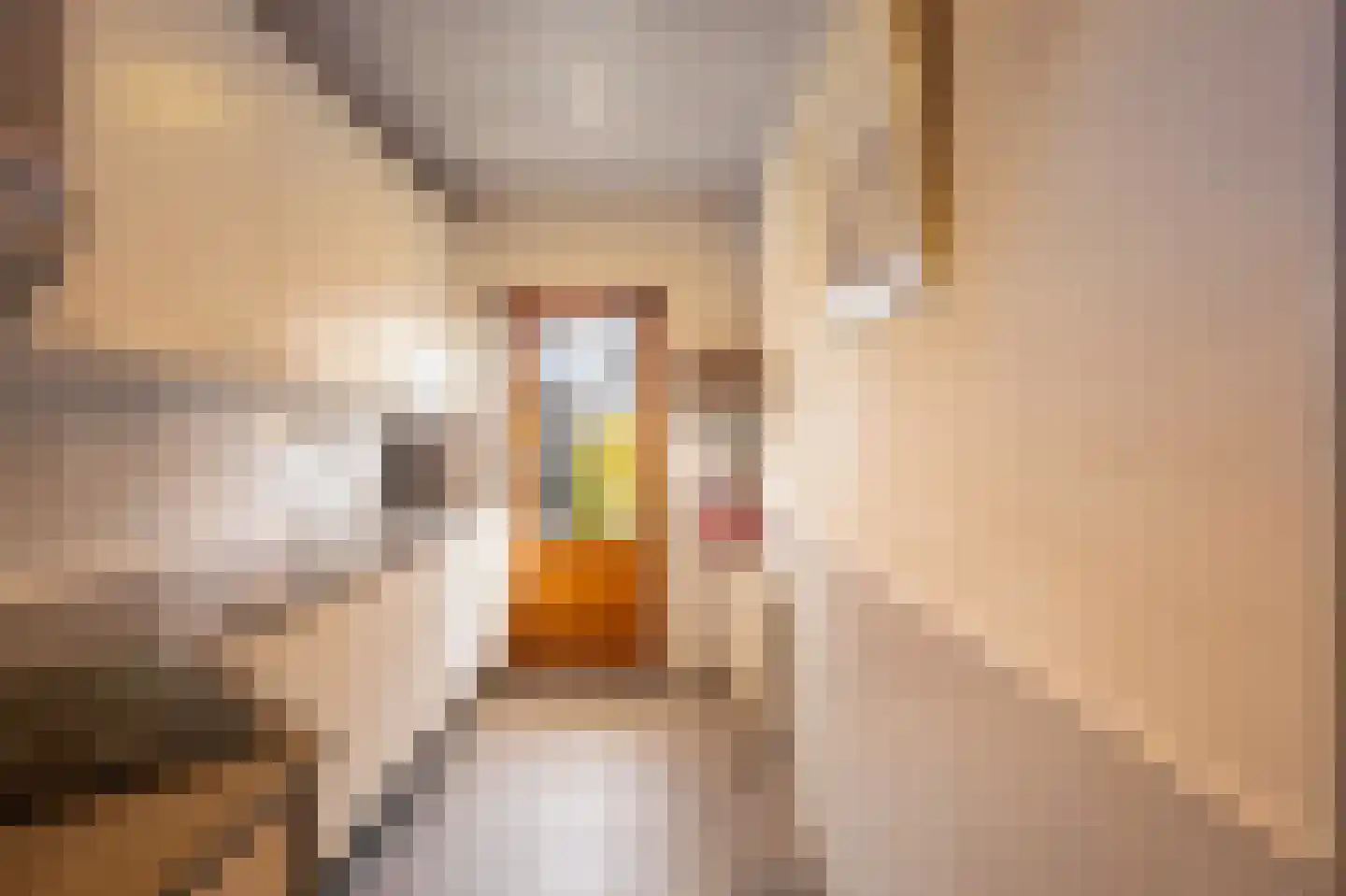 Hazenstraat 70 Hilversum thumbnail 5