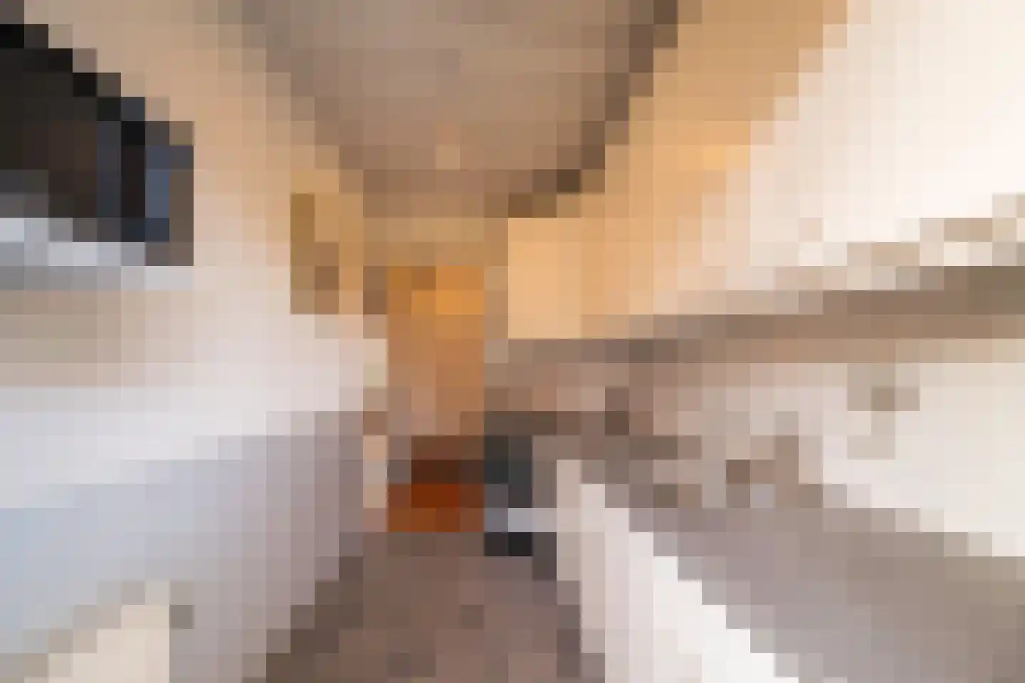 Hazenstraat 70 Hilversum thumbnail 6
