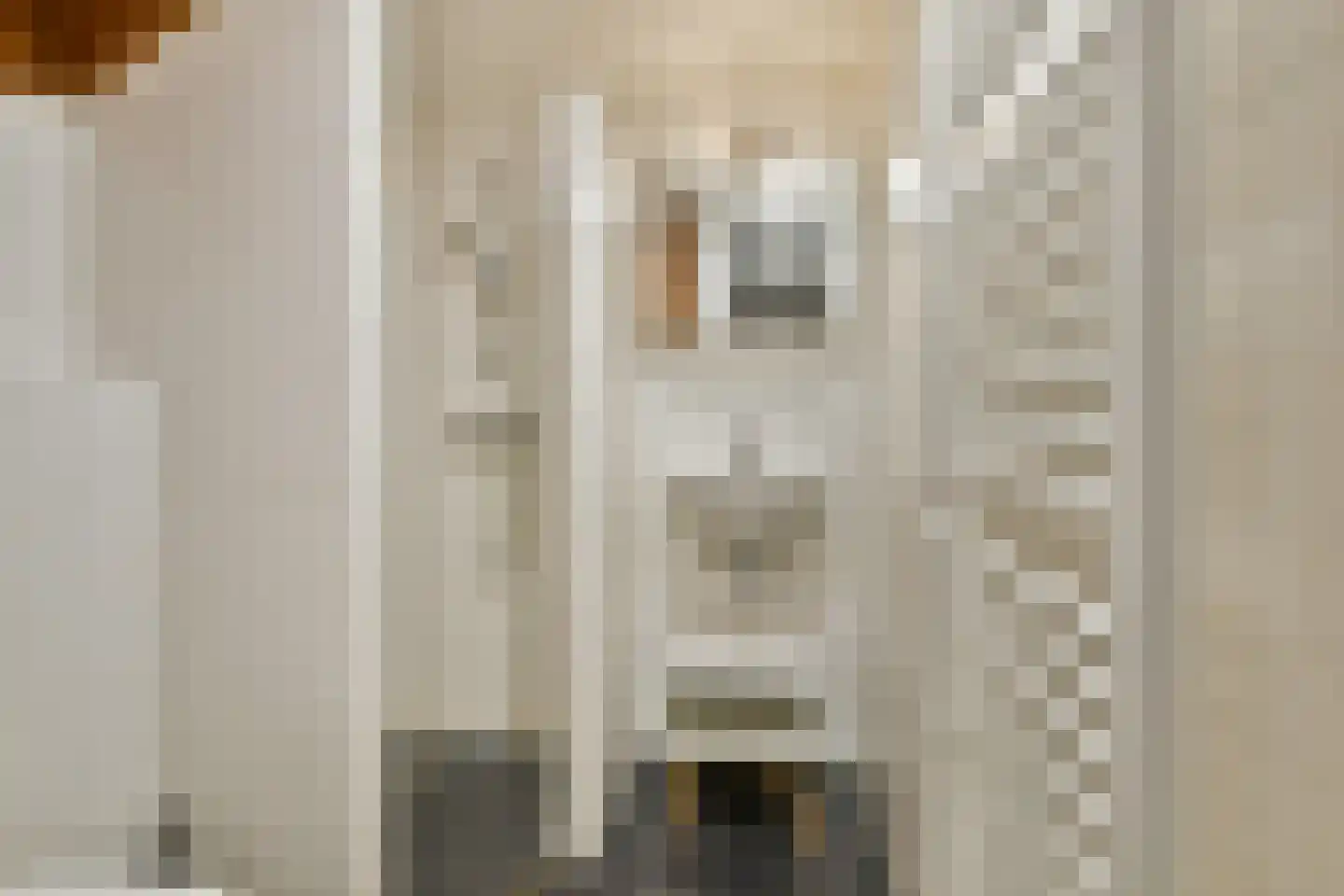 Hazenstraat 8 Amsterdam thumbnail 13