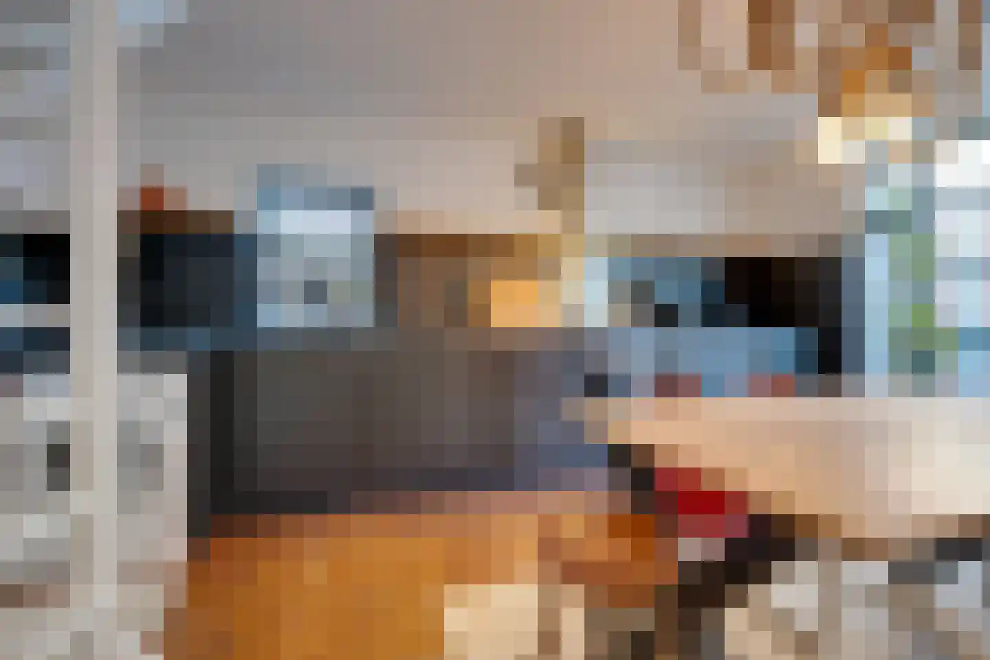 Hazenstraat 8 Amsterdam thumbnail 24