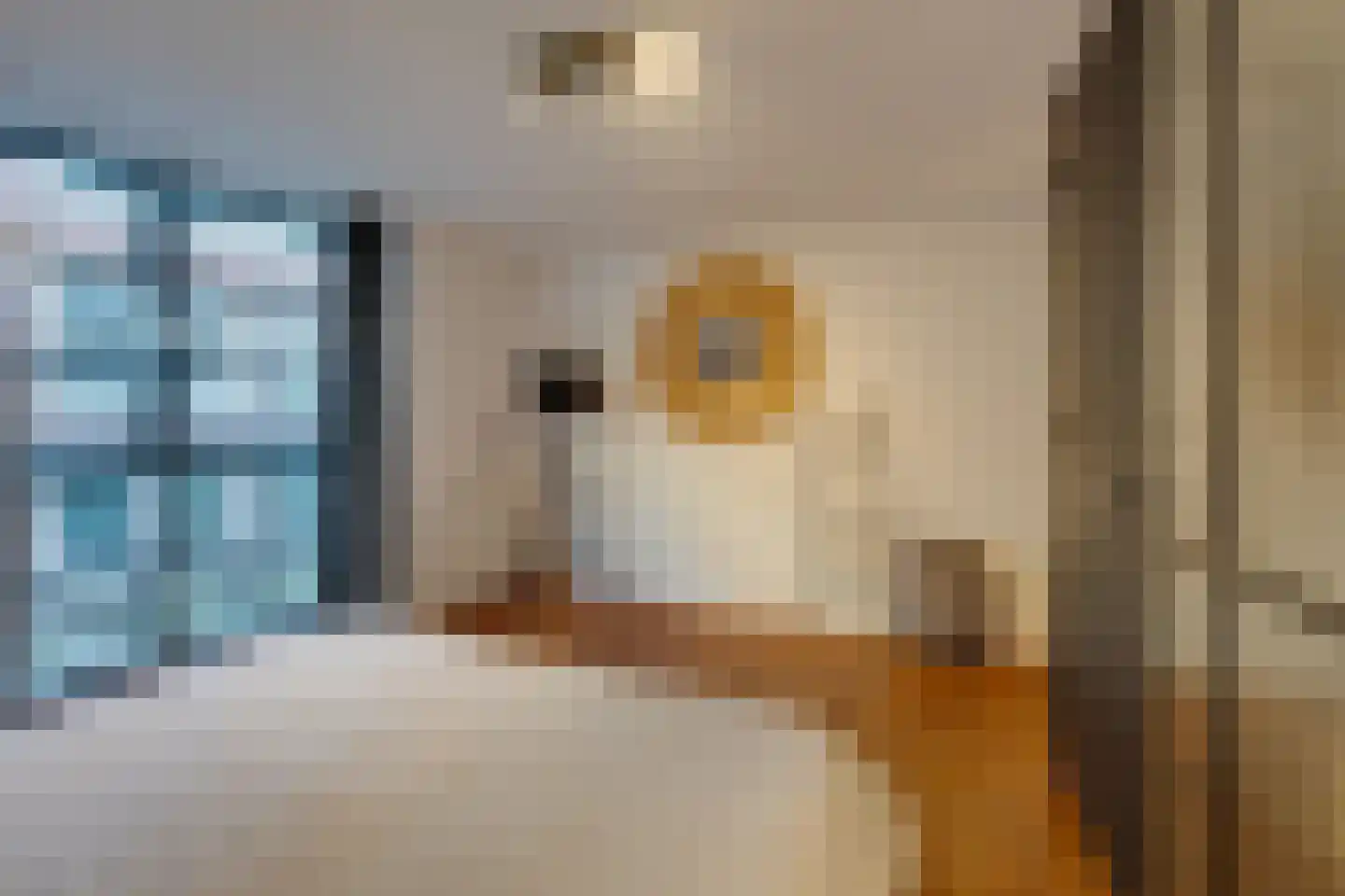 Hazenstraat 8 Amsterdam thumbnail 31