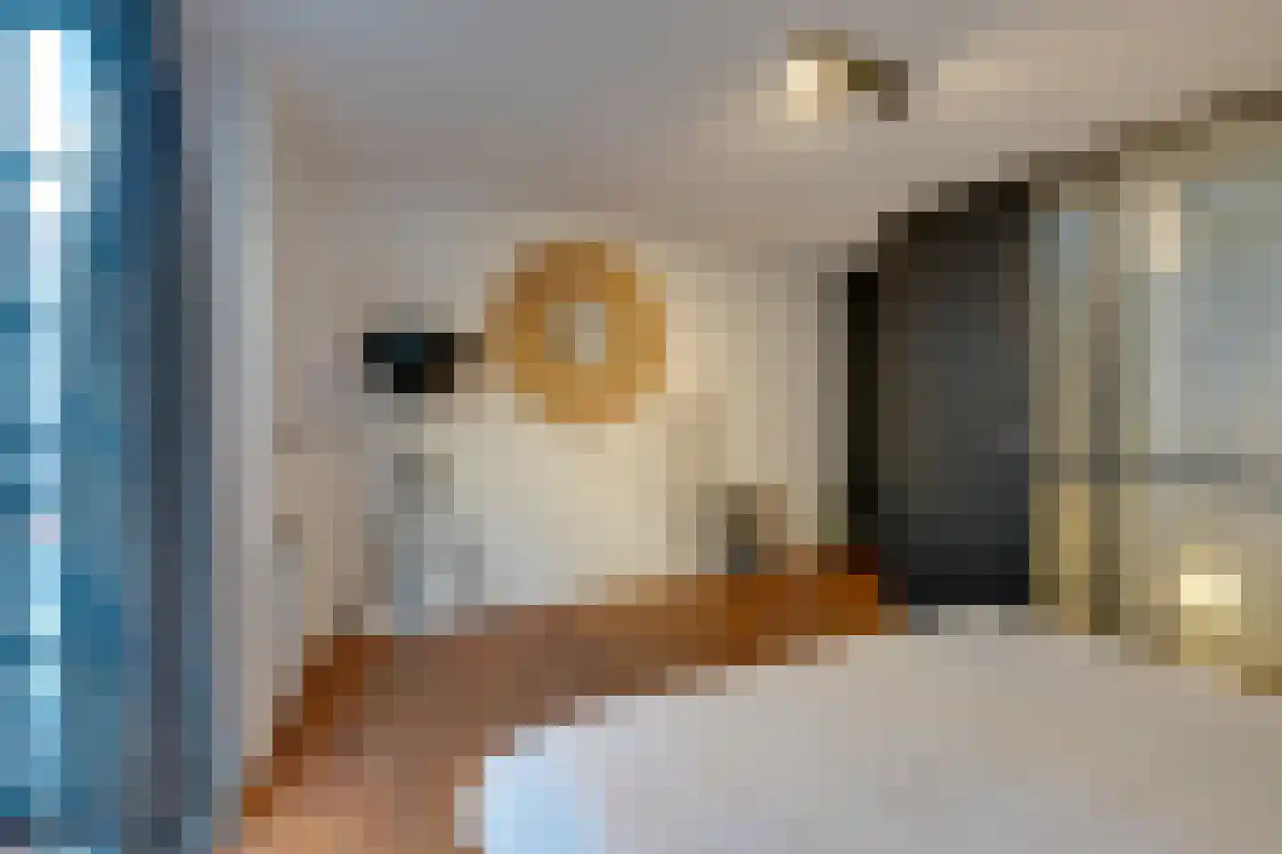 Hazenstraat 8 Amsterdam thumbnail 32