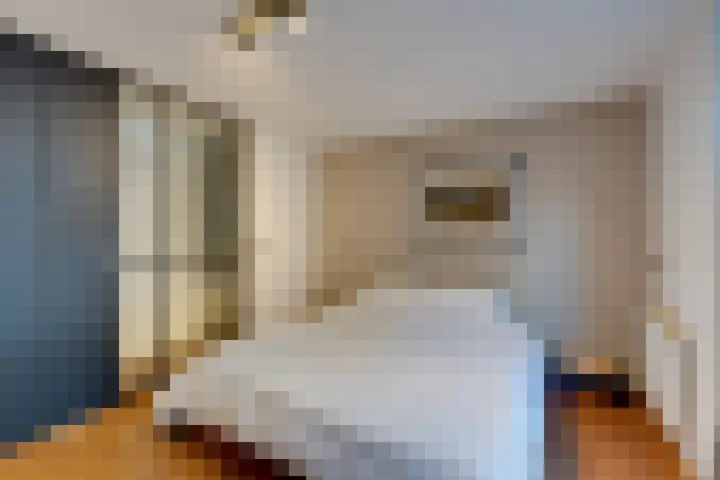 Hazenstraat 8 Amsterdam thumbnail 35
