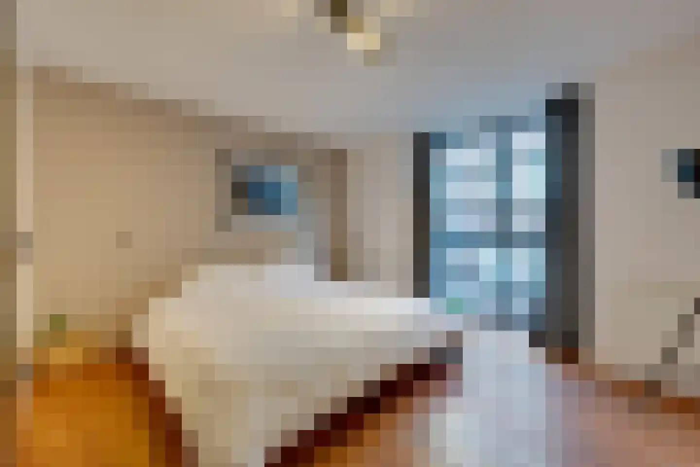Hazenstraat 8 Amsterdam thumbnail 5