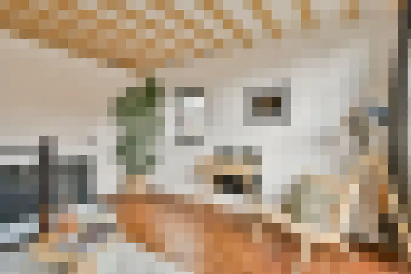 Hazenstraat 8 Amsterdam thumbnail 5