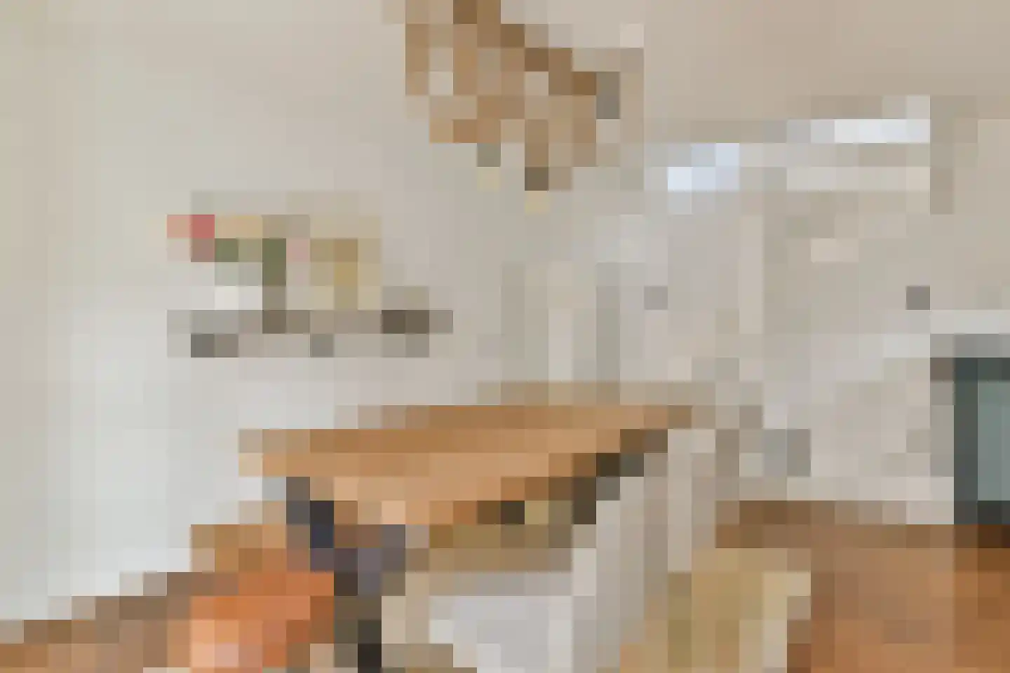 Hazenstraat 8 Amsterdam thumbnail 8