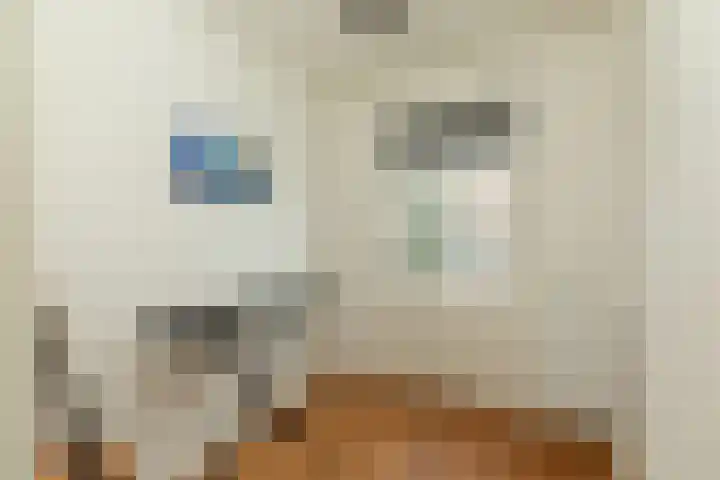 Hazenstraat 8 Hilversum thumbnail 17