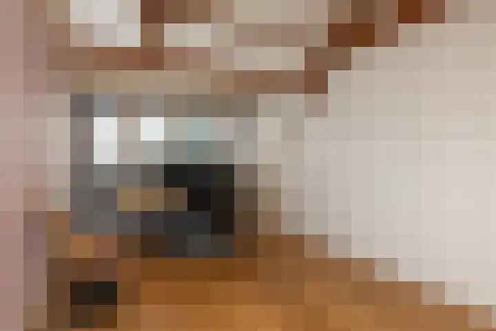 Hazenstraat 8 Hilversum thumbnail 24