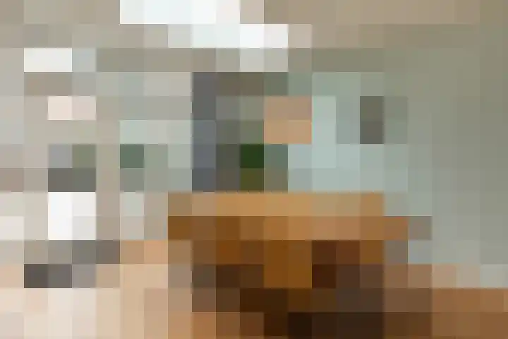 Hazenstraat 8 Hilversum thumbnail 6