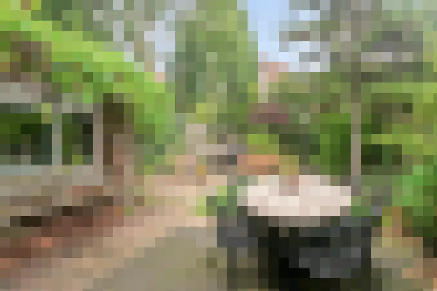 Hazenveld 31 IJsselstein thumbnail 35