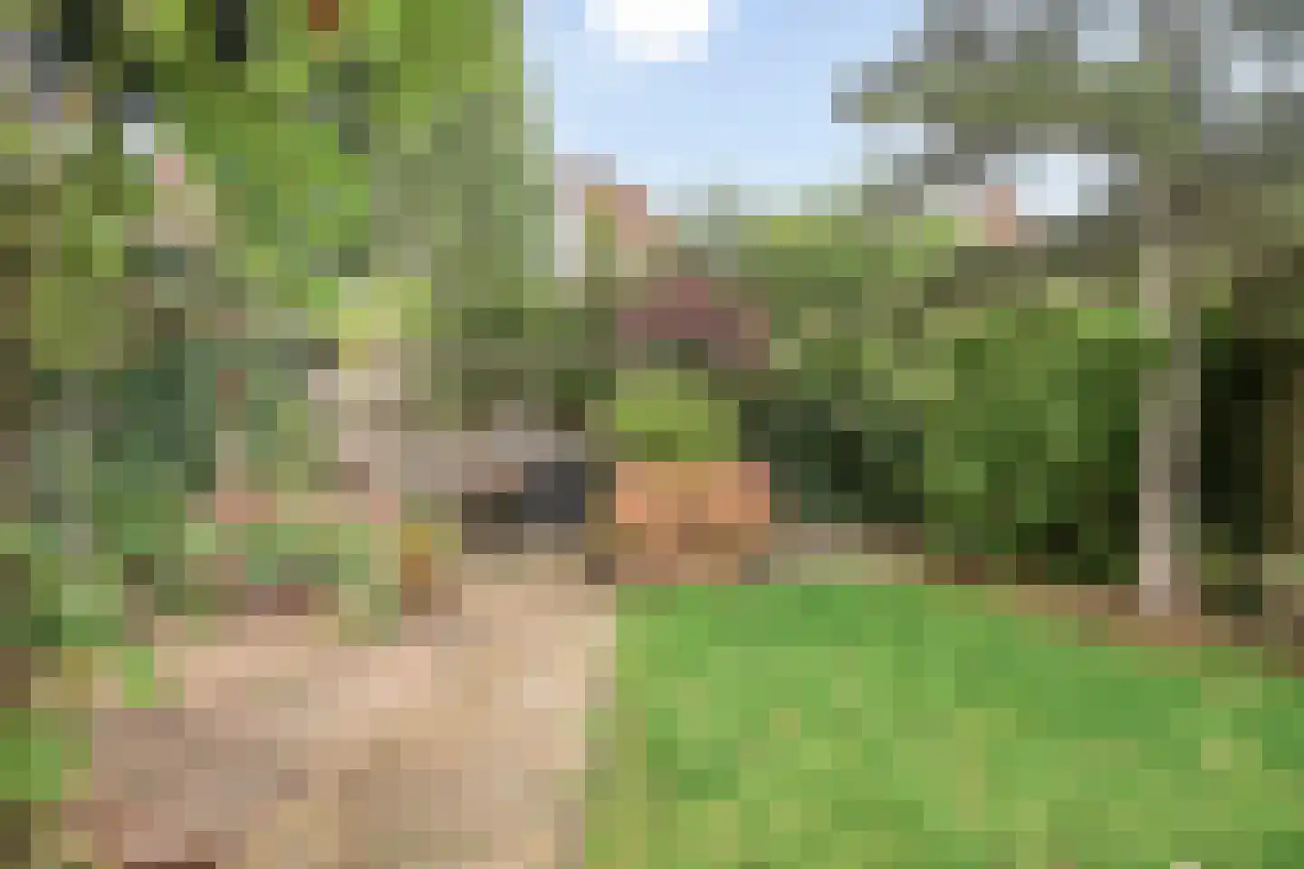 Hazenveld 31 IJsselstein thumbnail 36